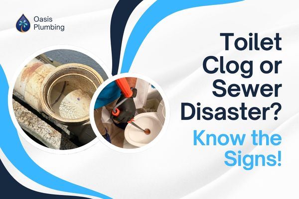 Clogged Toilet or Sewer Line? How to Tell the Difference