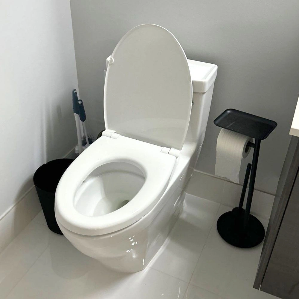 Hire the Best Local Toilet pros Near Me with Reviews | Angi